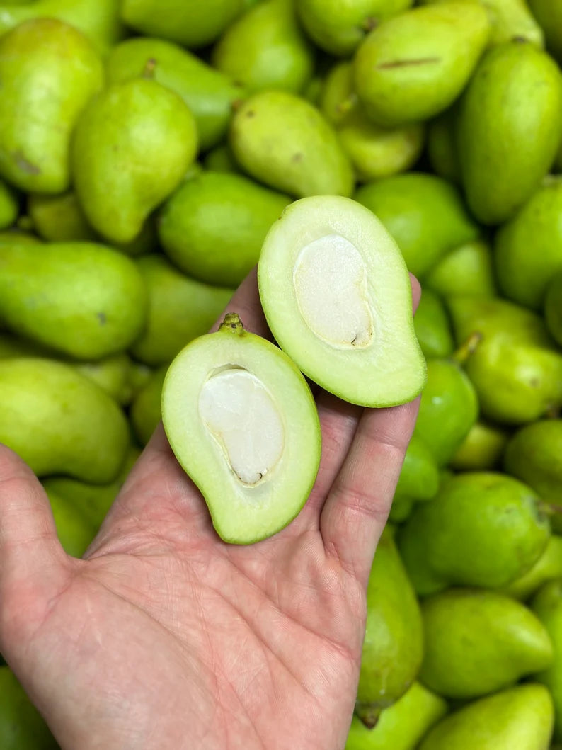 Mango Tierno – 2 lb